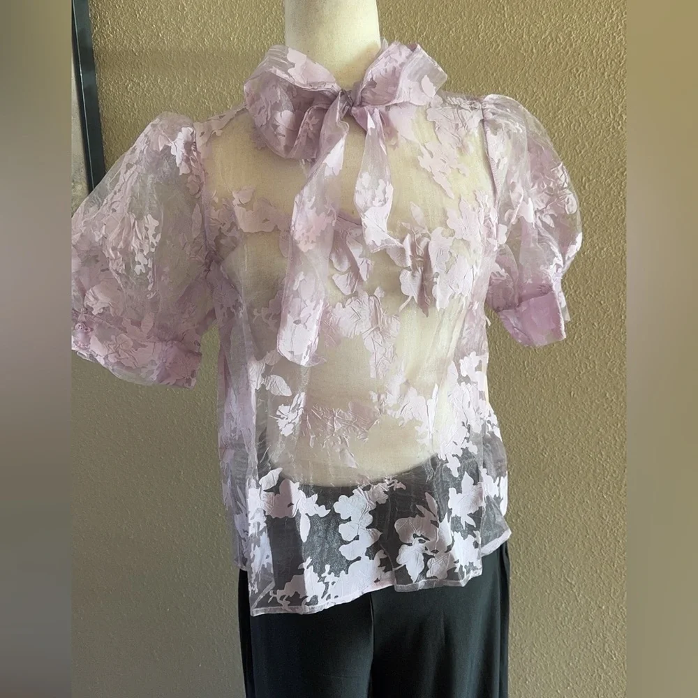 Gorgeous lilac organza sheer top
